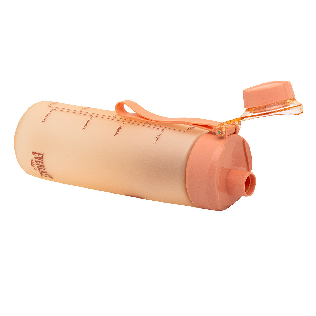 Botella Everlast Rosa