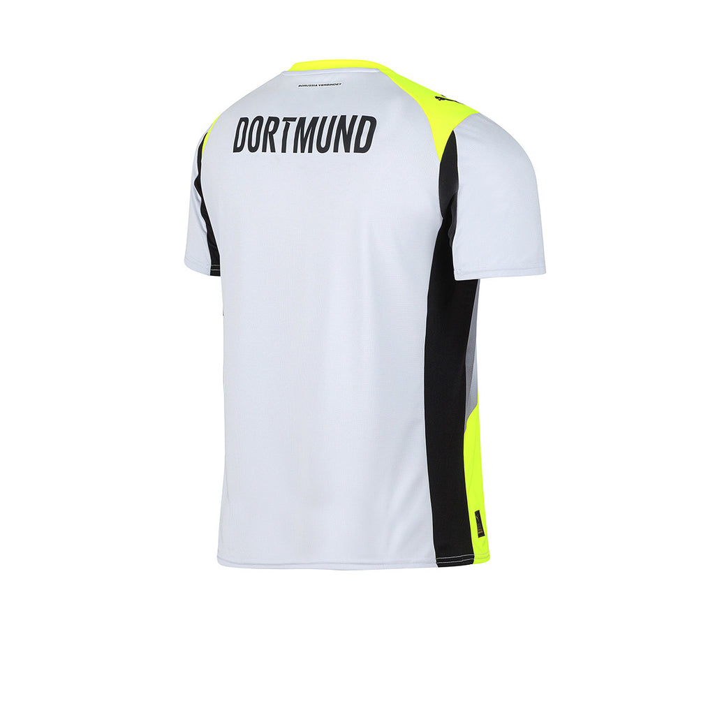 Camiseta De Borussia Dortmund Puma Alternativa Gris