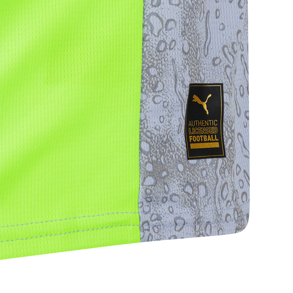 Camiseta De Manchester City Tercer Recambio Gris