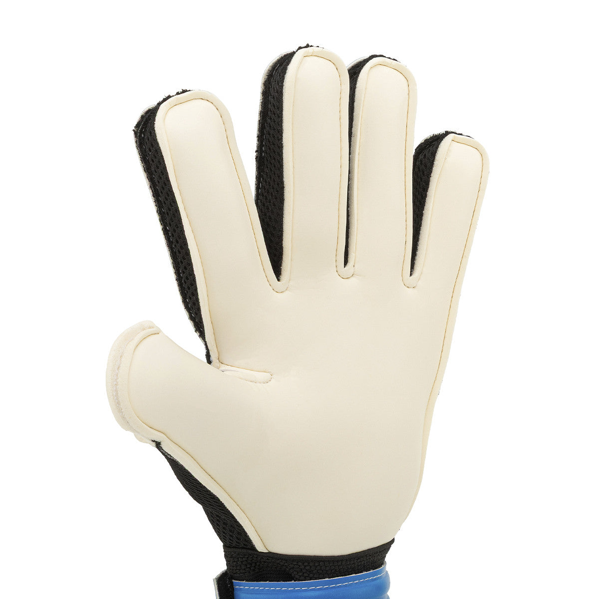 Guantes De Arquero Nassau Spider Azul