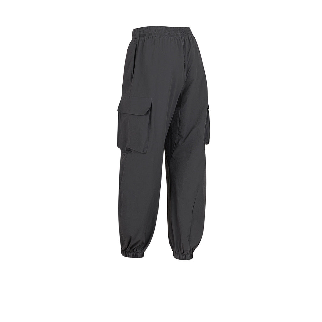 Pantalon Adidas X Audi Revolut F1 Gris