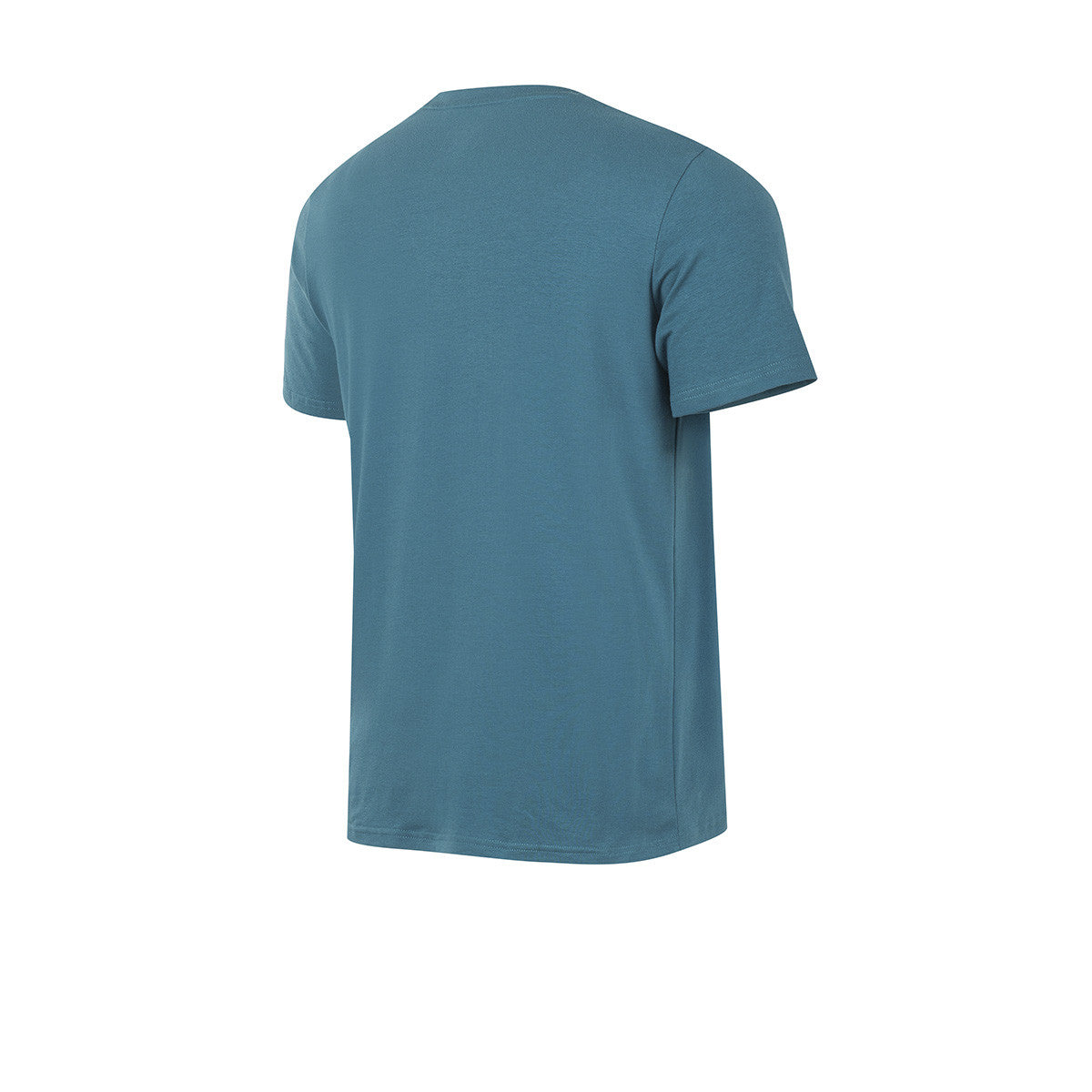Remera Asics Sound Koi Verde