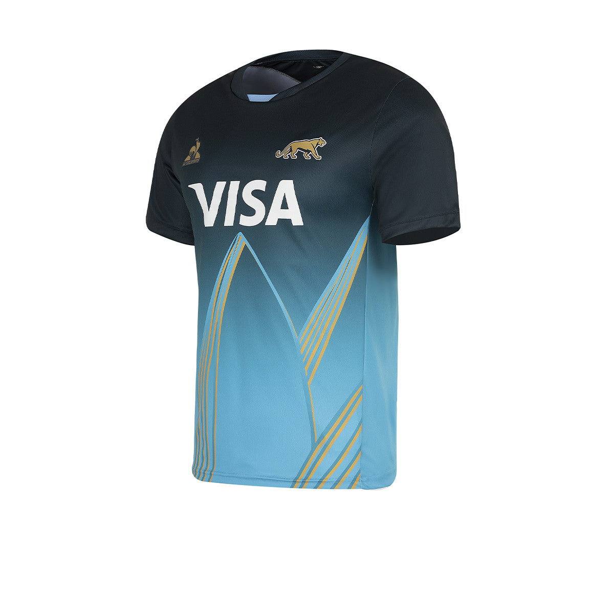 Remera De Los Pumas Le Coq Sportif Prematch Verde