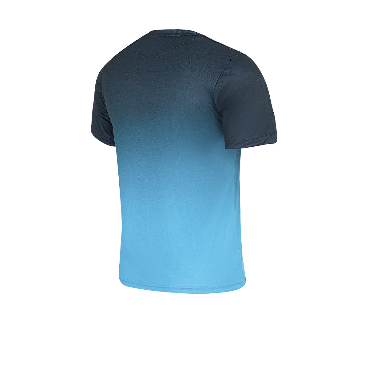 Remera De Los Pumas Le Coq Sportif Prematch Verde