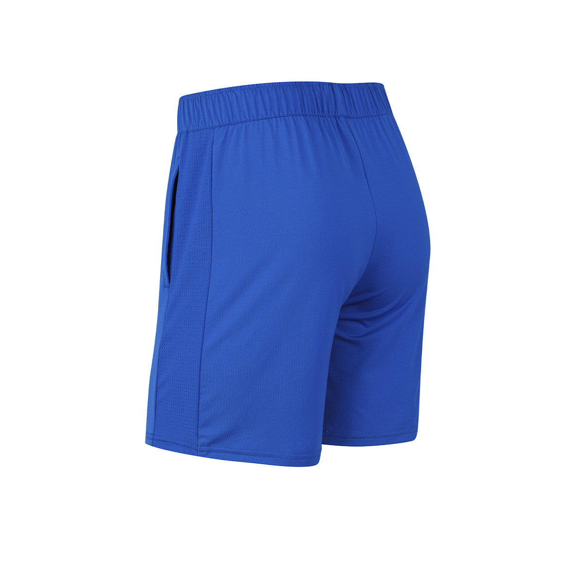 Short Le Coq Sportif De Entrenamiento Mesh Azul